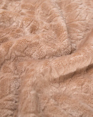 Korallsvelvet